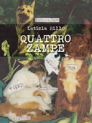 cover image of Quattro zampe